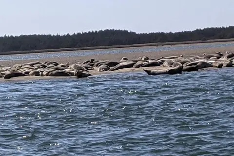 Netarts Bay Garden RV Resorts