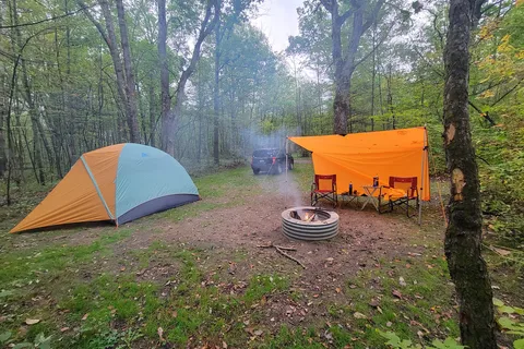 Newaygo State Park