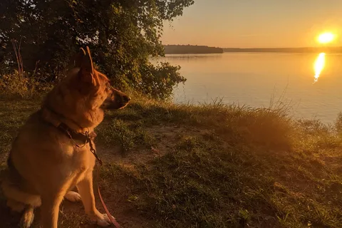 Newaygo State Park