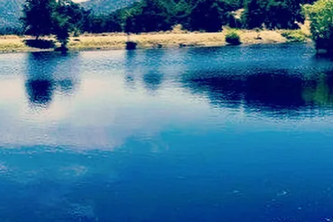 Sequoia RV Park