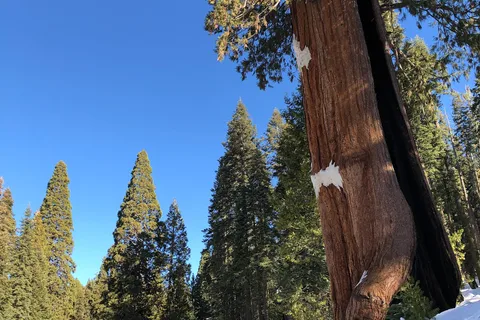 Sequoia RV Park
