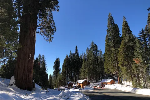 Sequoia RV Park