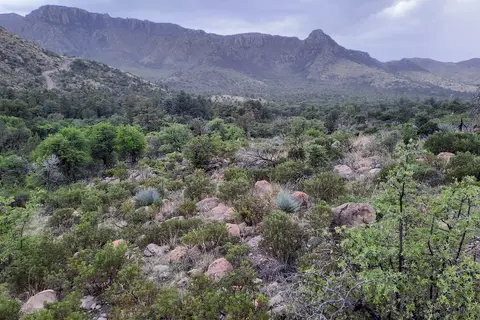 Bonita Canyon - Chiricahua National Monument