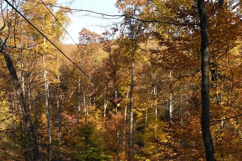 eXplore Brown County