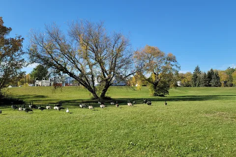 Selkirk Park