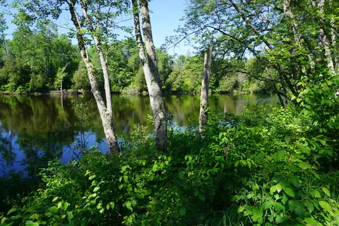 Camping Parc La Conception