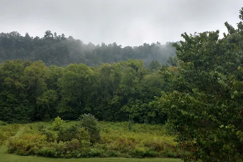 Fall Hollow Campground
