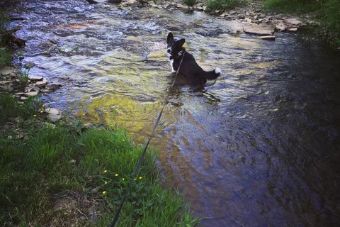 Smoked Bottom Campground