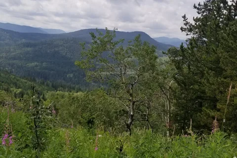 North Fork Provincial Recreational Area