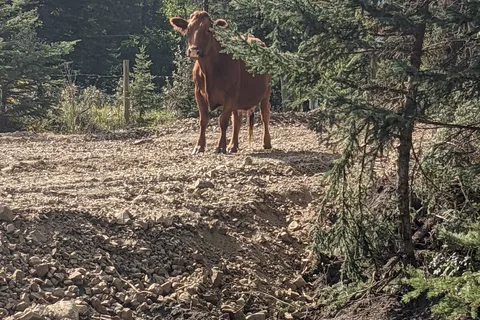 North Fork Provincial Recreational Area