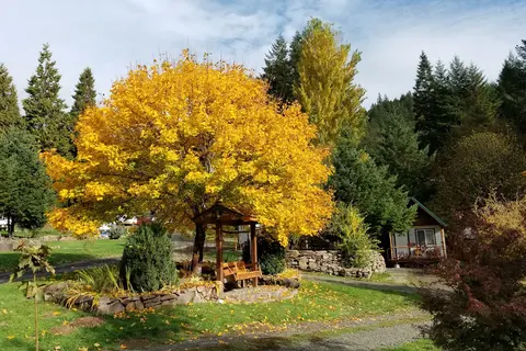 Umpqua's Last Resort