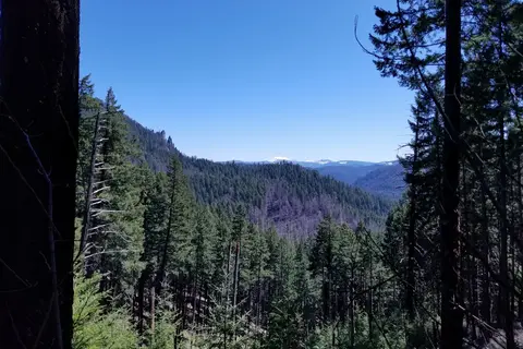 Umpqua's Last Resort