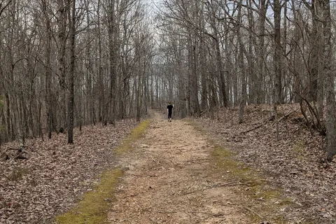 Lake Frierson State Park