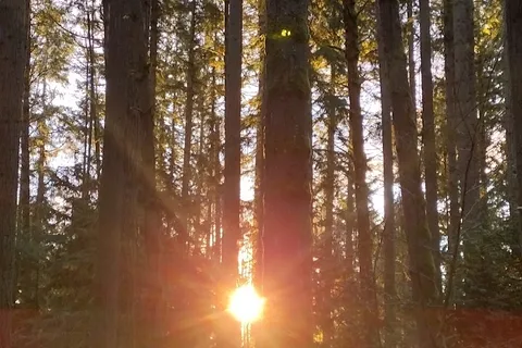 Illahee State Park