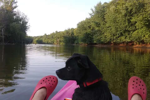 Big River State Forest