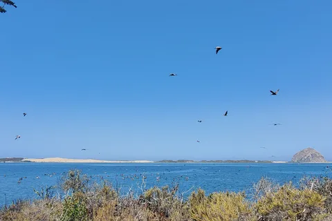 Morro Bay State Park