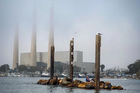 Morro Bay State Park