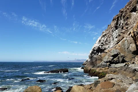 Morro Bay State Park