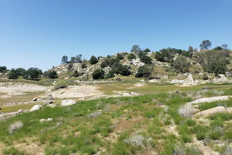 Meadows - Valley Oak - Millerton Lake State Recreation Area