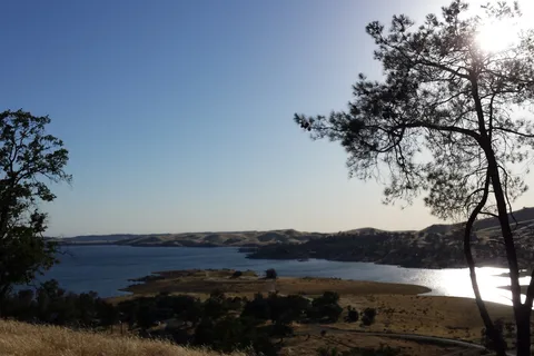 Meadows - Valley Oak - Millerton Lake State Recreation Area