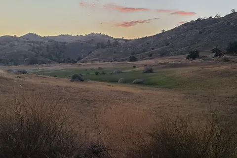 Meadows - Valley Oak - Millerton Lake State Recreation Area