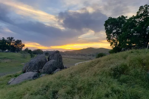 Meadows - Valley Oak - Millerton Lake State Recreation Area
