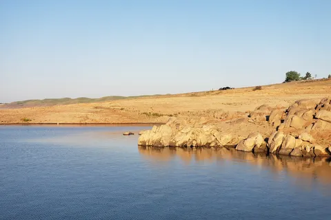 Meadows - Valley Oak - Millerton Lake State Recreation Area
