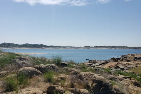 Meadows - Valley Oak - Millerton Lake State Recreation Area