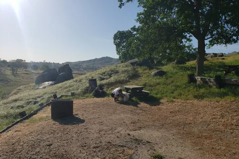 Meadows - Valley Oak - Millerton Lake State Recreation Area