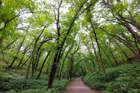 Main - Newton Hills State Park
