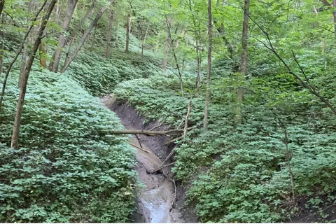 Main - Newton Hills State Park