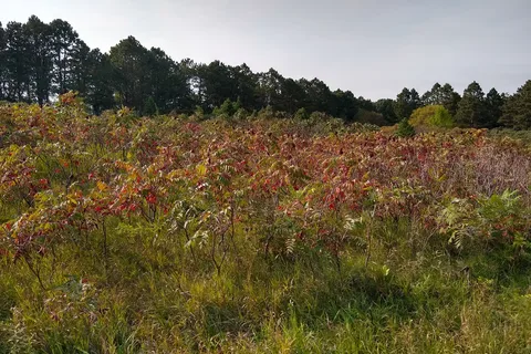 Main - Newton Hills State Park
