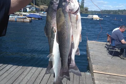 Williams Lake Bunker's Resort