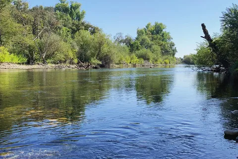 Turlock Lake State Recreational Area