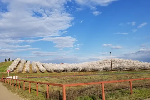 Turlock Lake State Recreational Area