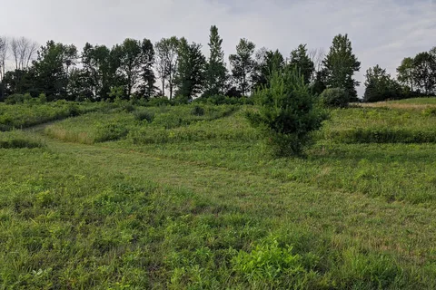 Gardner Hill Campground
