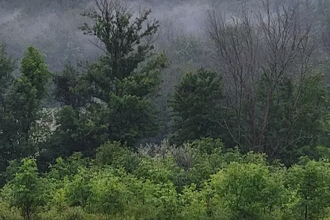 Gardner Hill Campground