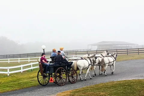 The Grand Oaks RV Resort