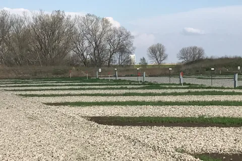 York KAMPground