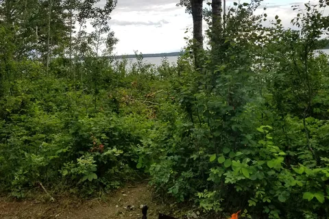 Murray Doell - Meadow Lake Provincial Park