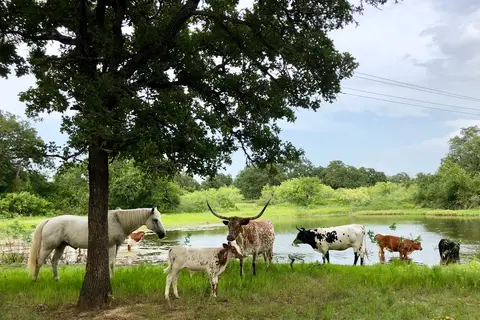 Cowboy RV Park