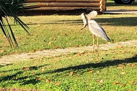 Ocala RV Camp Resort