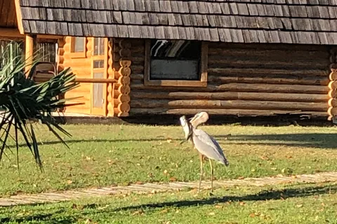 Ocala RV Camp Resort