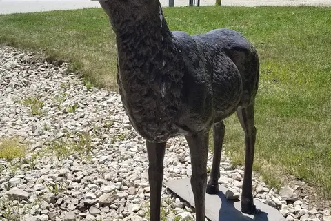 Steel Wheel Campground and Trading Post