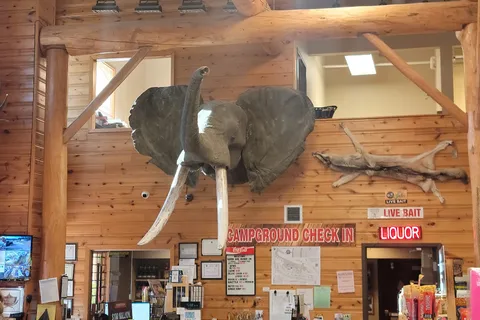 Steel Wheel Campground and Trading Post