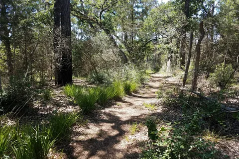 Oak Haven - Buescher State Park