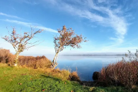 Medeiros - San Luis Reservoir State Recreation Area