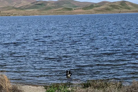 Medeiros - San Luis Reservoir State Recreation Area