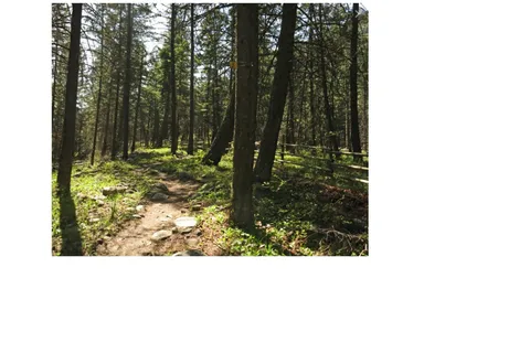 Peachland RV Park