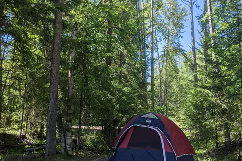 Horsefly Lake Provincial Park